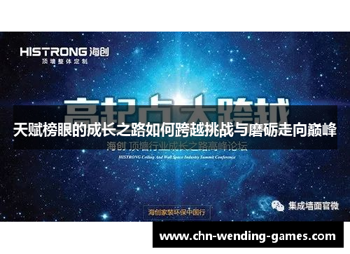 天赋榜眼的成长之路如何跨越挑战与磨砺走向巅峰
