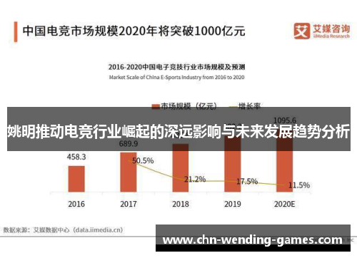 姚明推动电竞行业崛起的深远影响与未来发展趋势分析