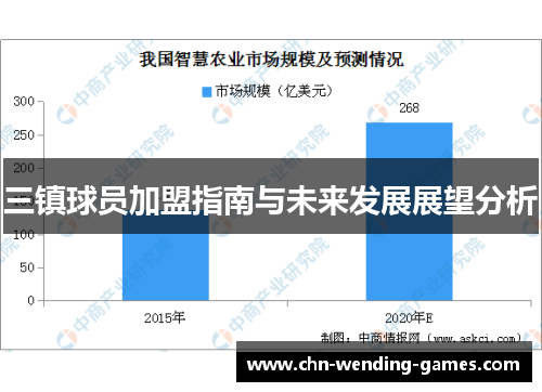 三镇球员加盟指南与未来发展展望分析