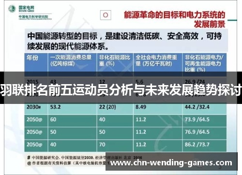 羽联排名前五运动员分析与未来发展趋势探讨