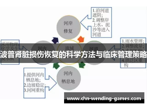 波普肾脏损伤恢复的科学方法与临床管理策略