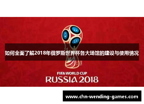 如何全面了解2018年俄罗斯世界杯各大场馆的建设与使用情况
