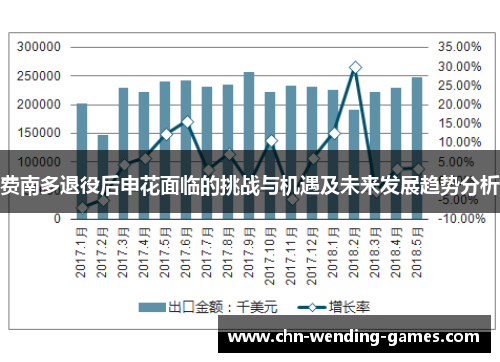 费南多退役后申花面临的挑战与机遇及未来发展趋势分析