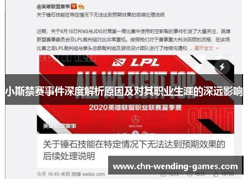 小斯禁赛事件深度解析原因及对其职业生涯的深远影响