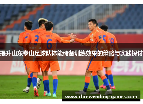提升山东泰山足球队体能储备训练效果的策略与实践探讨