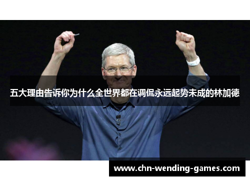 五大理由告诉你为什么全世界都在调侃永远起势未成的林加德