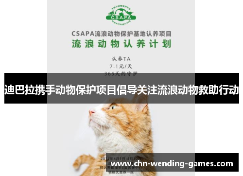 迪巴拉携手动物保护项目倡导关注流浪动物救助行动 迪巴拉携手动物保护项目倡导关注流浪动物救助行动