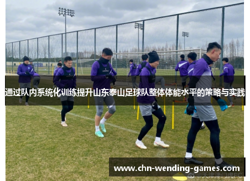 通过队内系统化训练提升山东泰山足球队整体体能水平的策略与实践