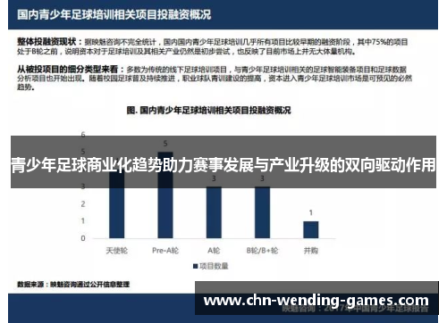 青少年足球商业化趋势助力赛事发展与产业升级的双向驱动作用